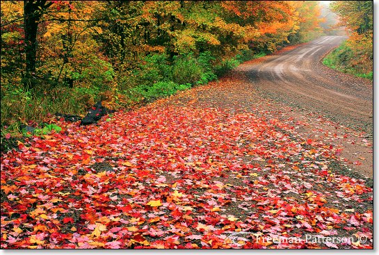 Ketchum Road Autumn - By Freeman Patterson