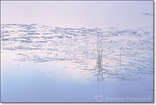 Serene - By Freeman Patterson