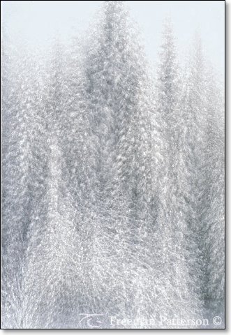 Ice Castles - By Freeman Patterson