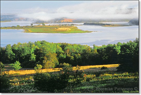 One Summer Morning - By Freeman Patterson